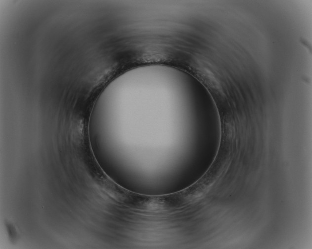 X0000091890308200709051348