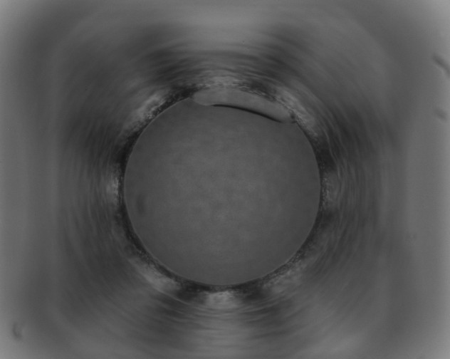 X0000091890309200709051348