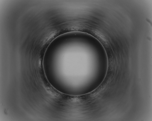 X0000091890310200709051348