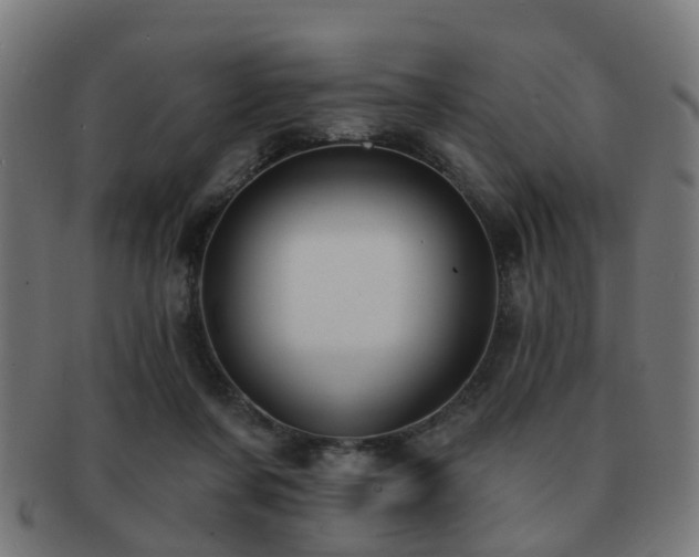 X0000091890311200709051348
