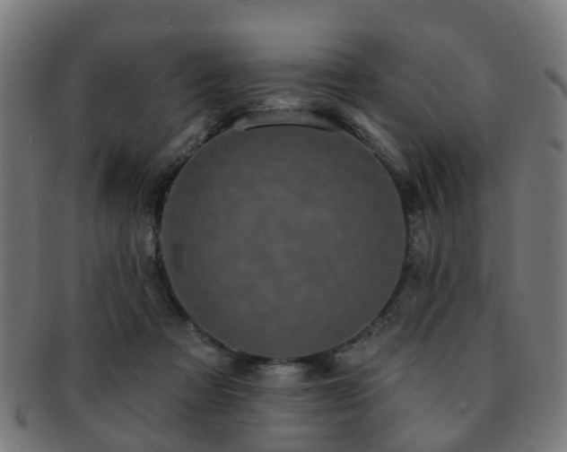 X0000091890313200709051348