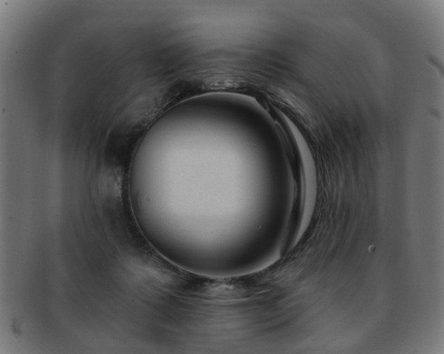 X0000091890315200709051348