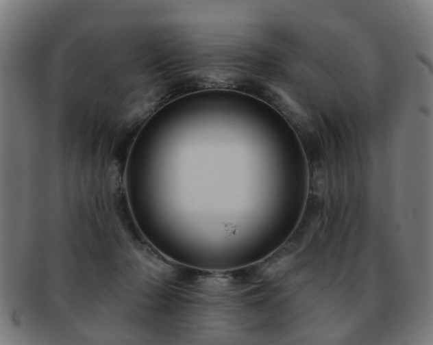 X0000091890318200709051348