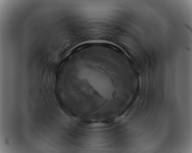 X0000091890319200709051348