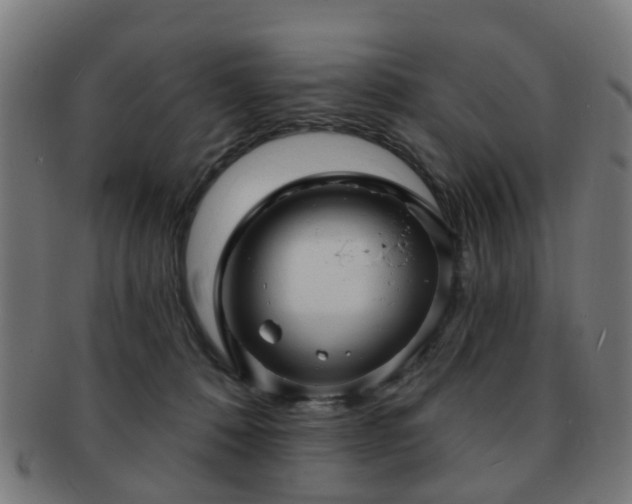 X0000091890320200709051348