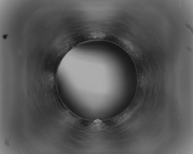 X0000091890321200709051348