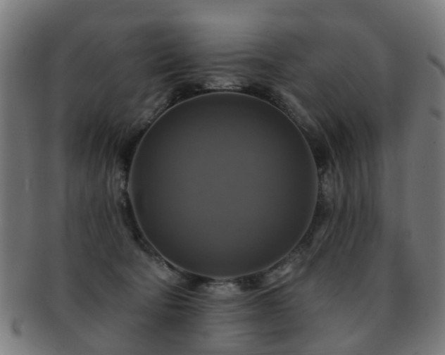 X0000091890322200709051348