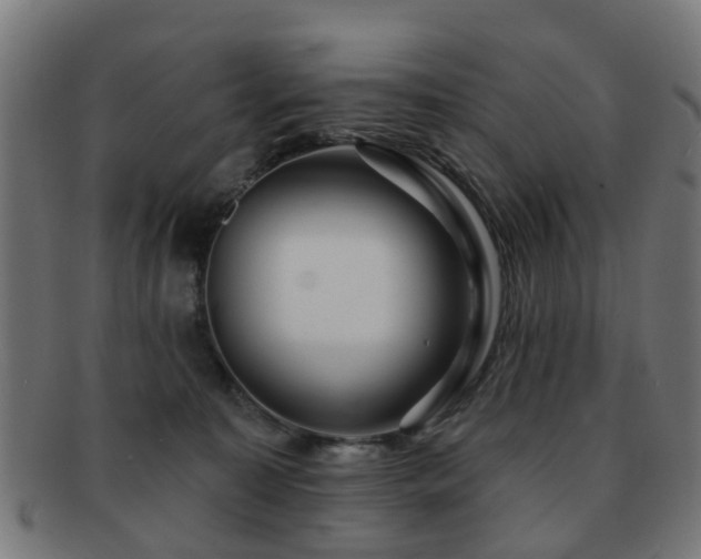 X0000091890323200709051348