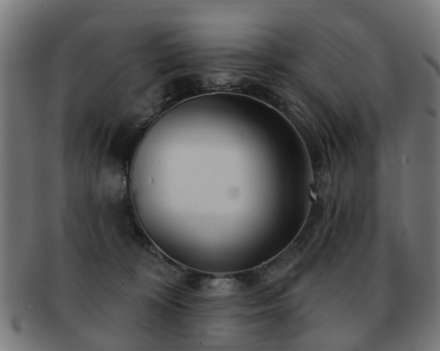 X0000091890324200709051348