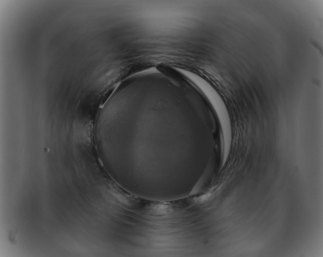 X0000091890325200709051348