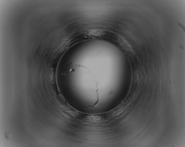 X0000091890328200709051348