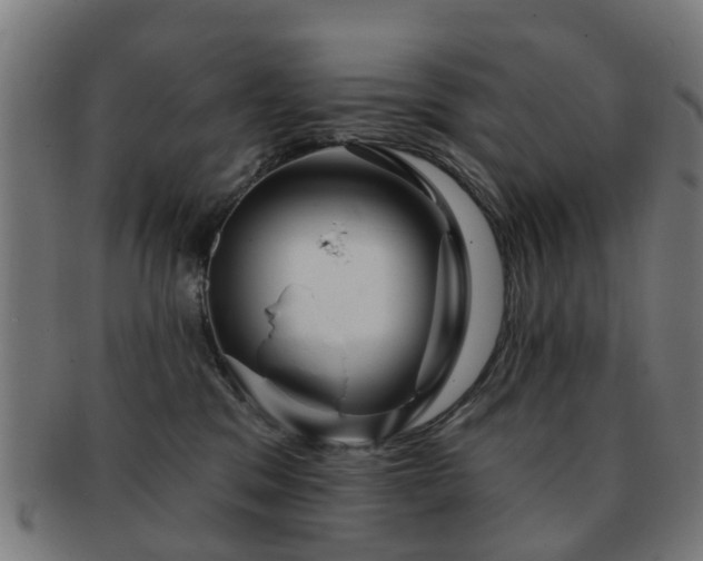 X0000091890329200709051348