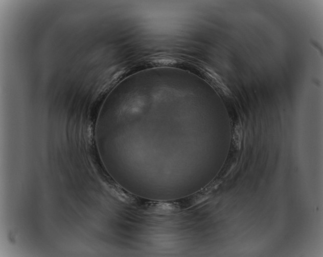 X0000091890330200709051348