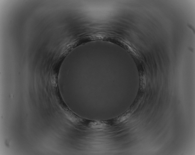 X0000091890331200709051348