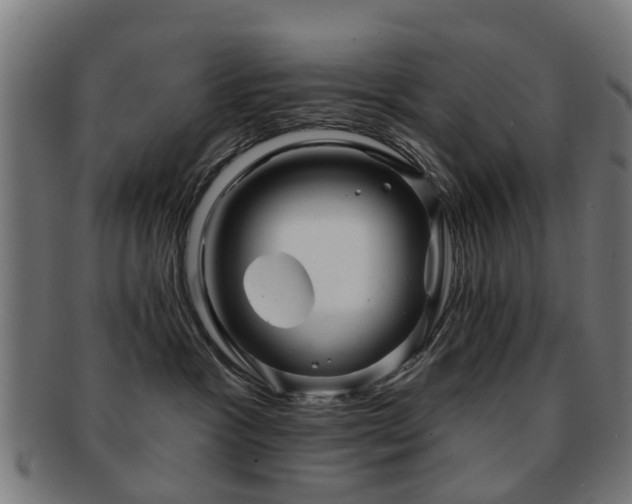 X0000091890333200709051348