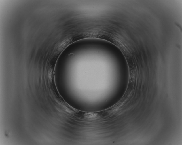 X0000091890334200709051348