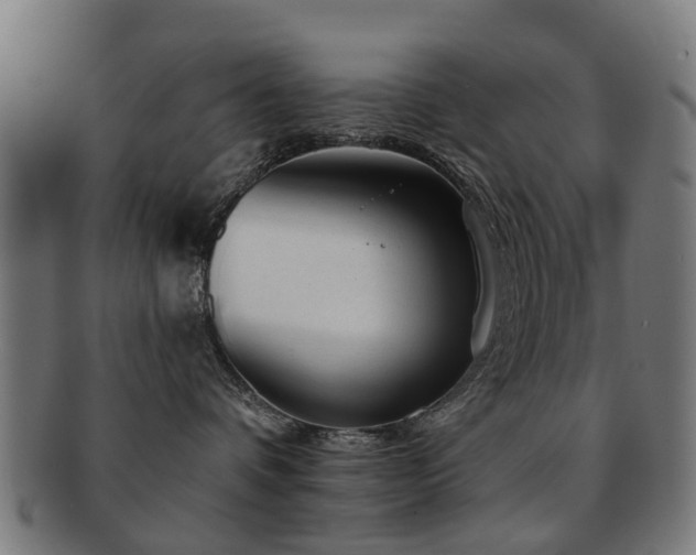 X0000091890336200709051348