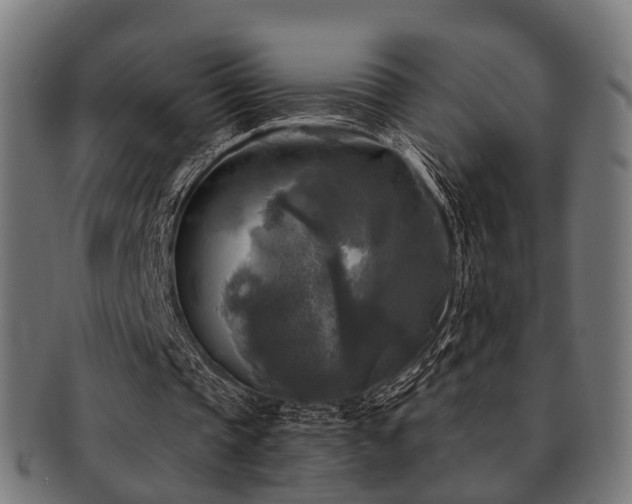 X0000091890337200709051347