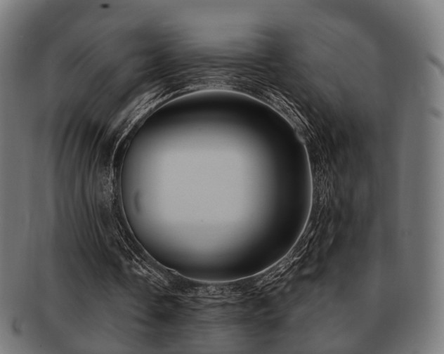 X0000091890338200709051347