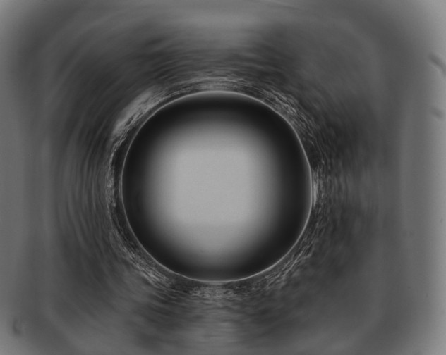 X0000091890339200709051347