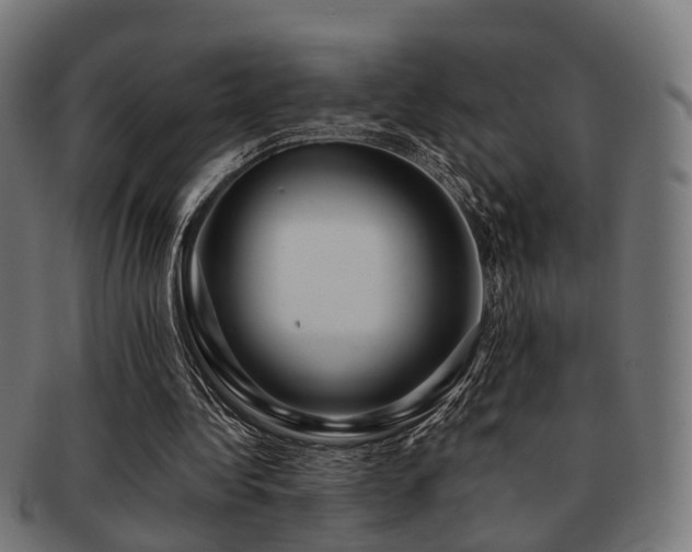 X0000091890340200709051347