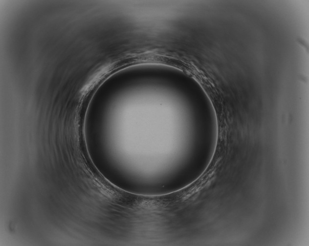X0000091890341200709051347