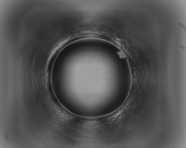 X0000091890342200709051348