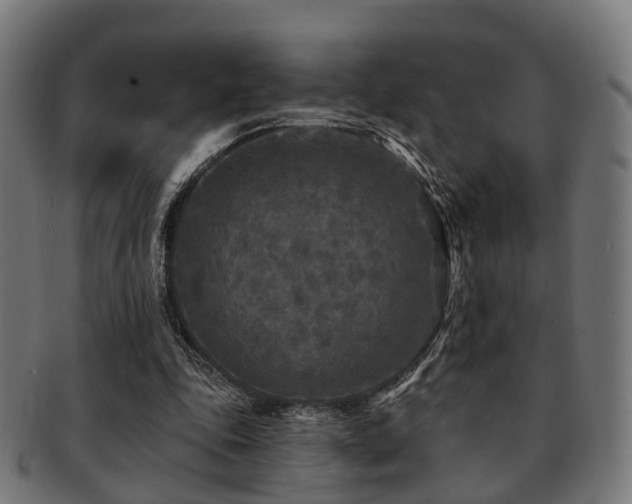 X0000091890343200709051348