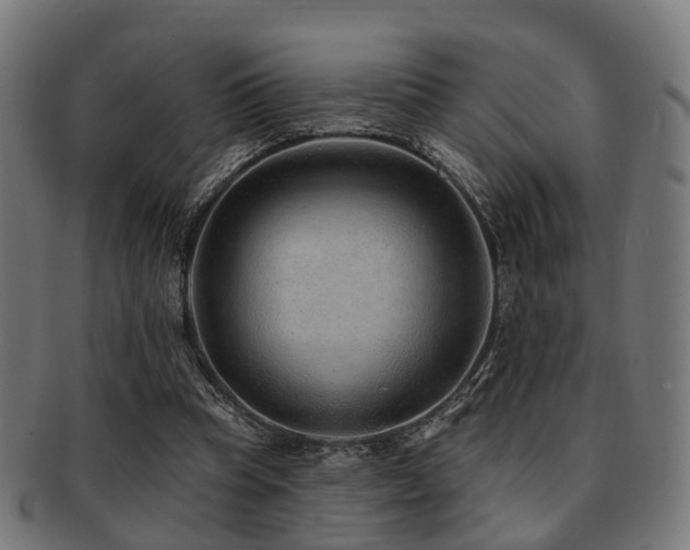 X0000091890345200709051348