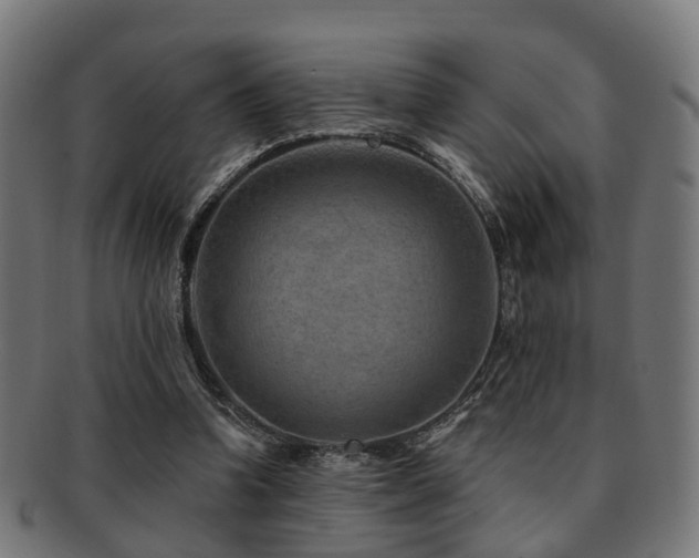 X0000091890346200709051348