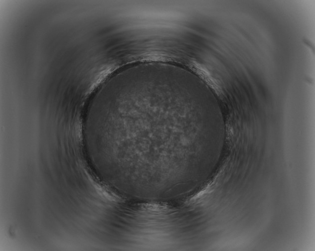 X0000091890347200709051348
