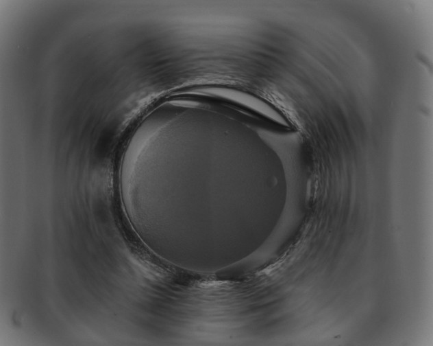 X0000091890348200709051348