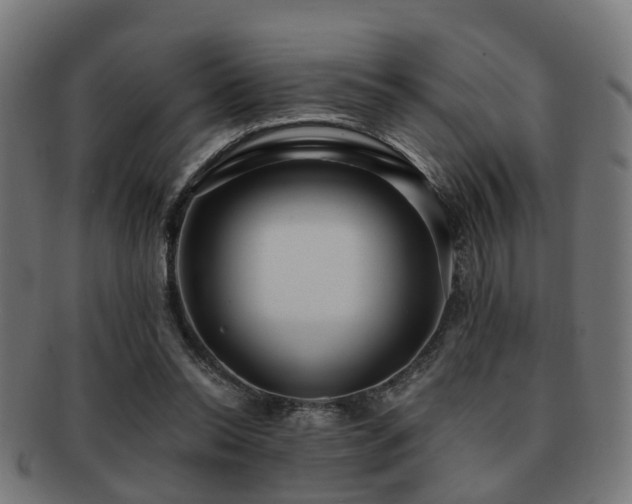 X0000091890350200709051348