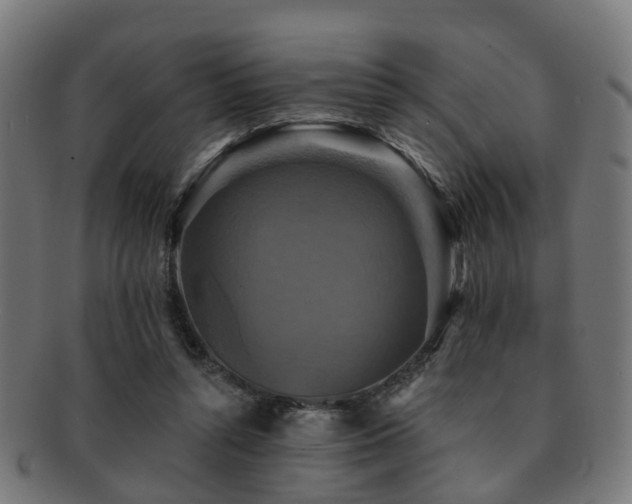 X0000091890352200709051348