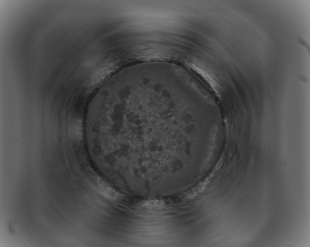 X0000091890353200709051348