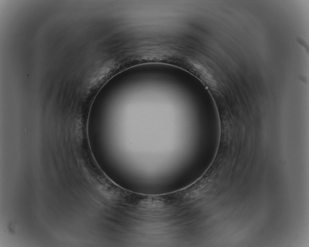 X0000091890354200709051348