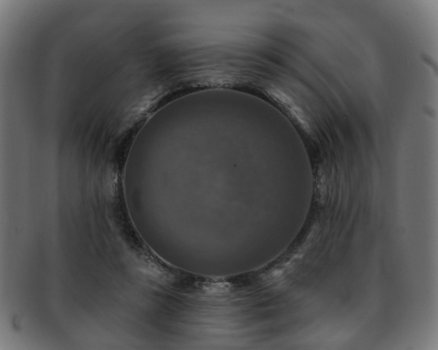 X0000091890355200709051348