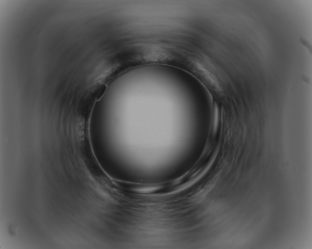 X0000091890356200709051348