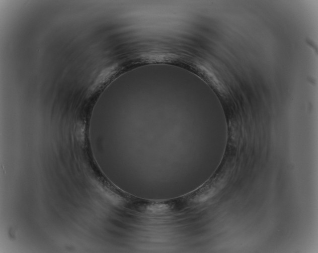 X0000091890357200709051348