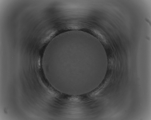 X0000091890358200709051348