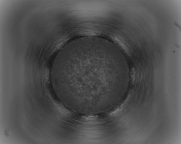 X0000091890359200709051348