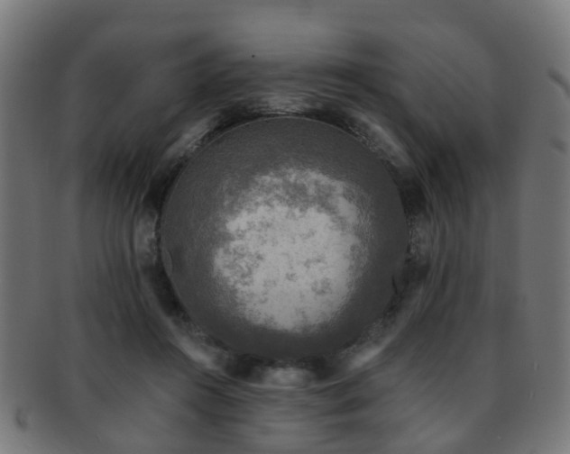 X0000091890360200709051348