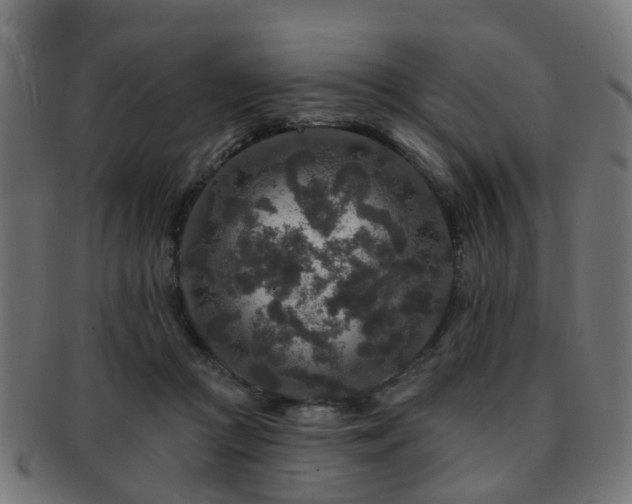 X0000091890361200709051348