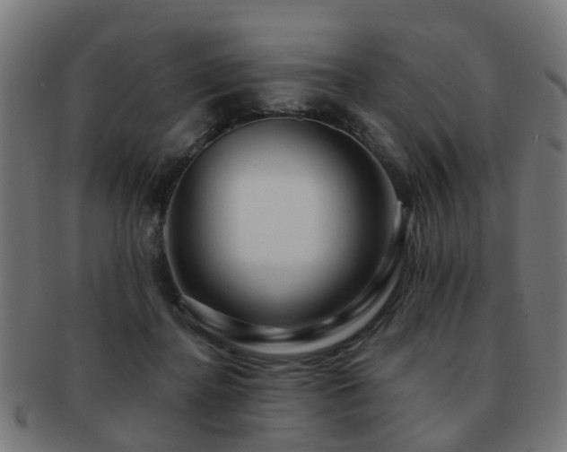 X0000091890364200709051348