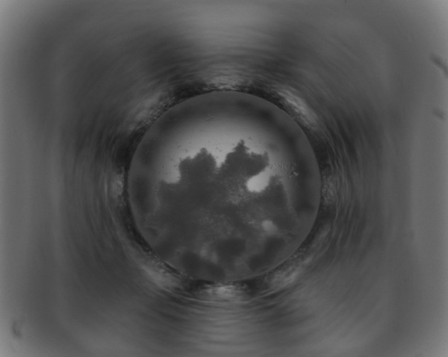 X0000091890365200709051348