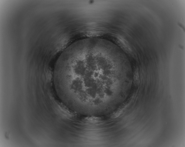 X0000091890367200709051348