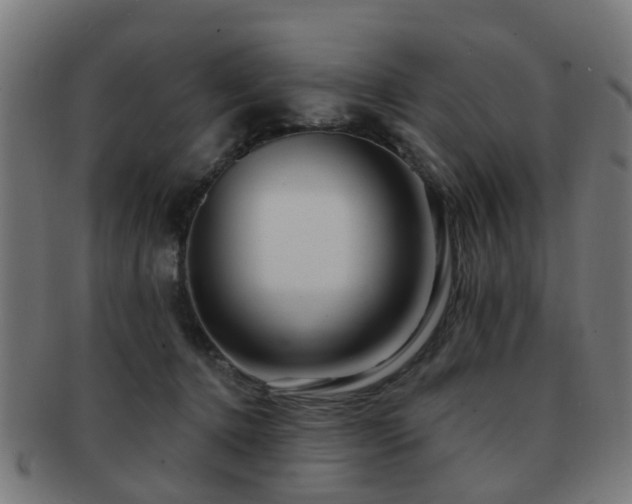 X0000091890368200709051348