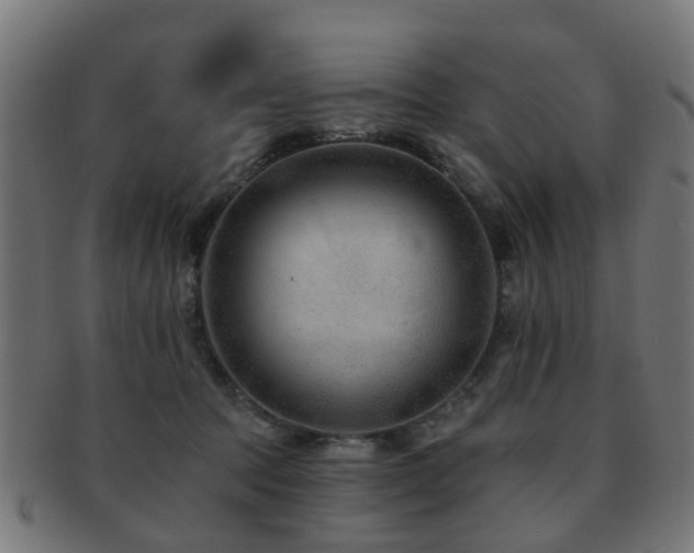 X0000091890369200709051348