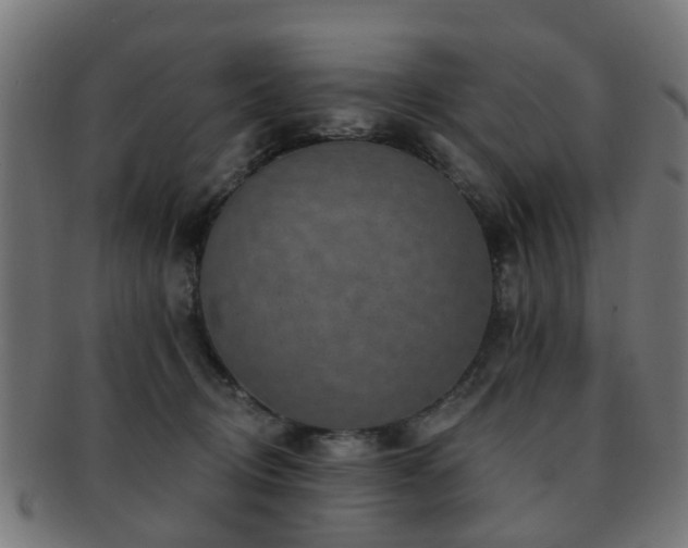X0000091890370200709051348