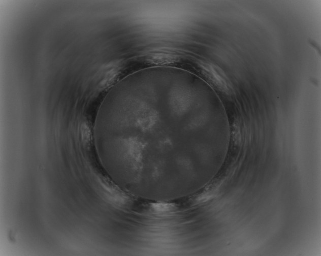 X0000091890371200709051348